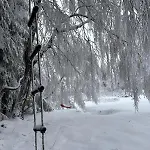 Sowi Sierp W Górach Sowich Domek alpejski *