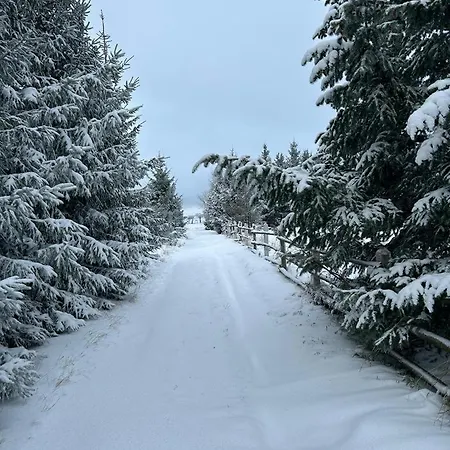 Sowi Sierp W Gorach Sowich Шале *