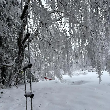 Sowi Sierp W Gorach Sowich Шале *