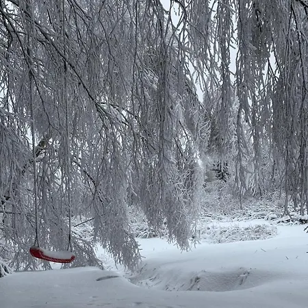 Sowi Sierp W Gorach Sowich Шале *