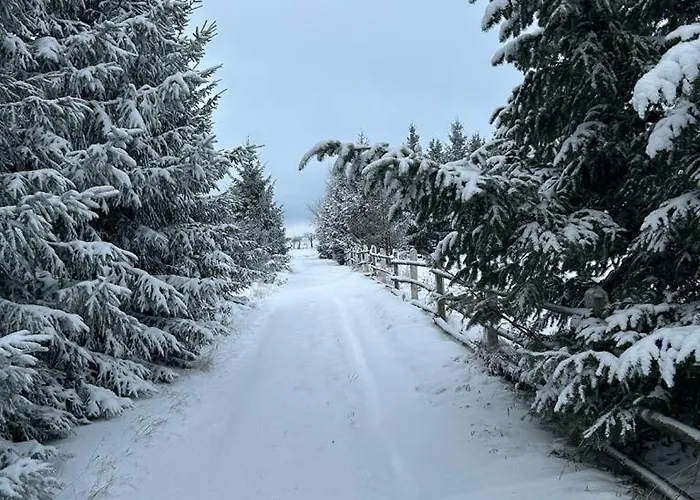 Sowi Sierp W Gorach Sowich Alpstuga *