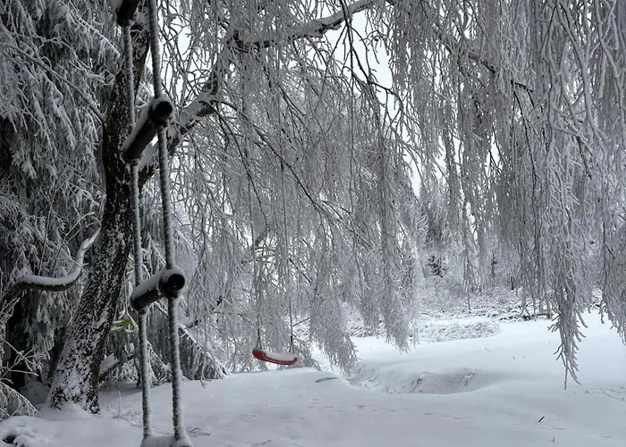 Sowi Sierp W Górach Sowich Domek alpejski *