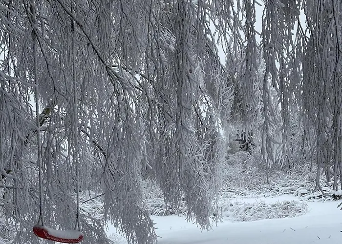 Sowi Sierp W Gorach Sowich Alpstuga *